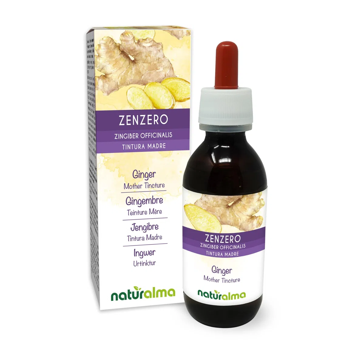 Gingembre (Zingiber officinalis) rhizomes Teinture Mère sans alcool Naturalma - Extrait liquide gouttes 120 ml - Complément alimentaire - Végétalien ou végan
