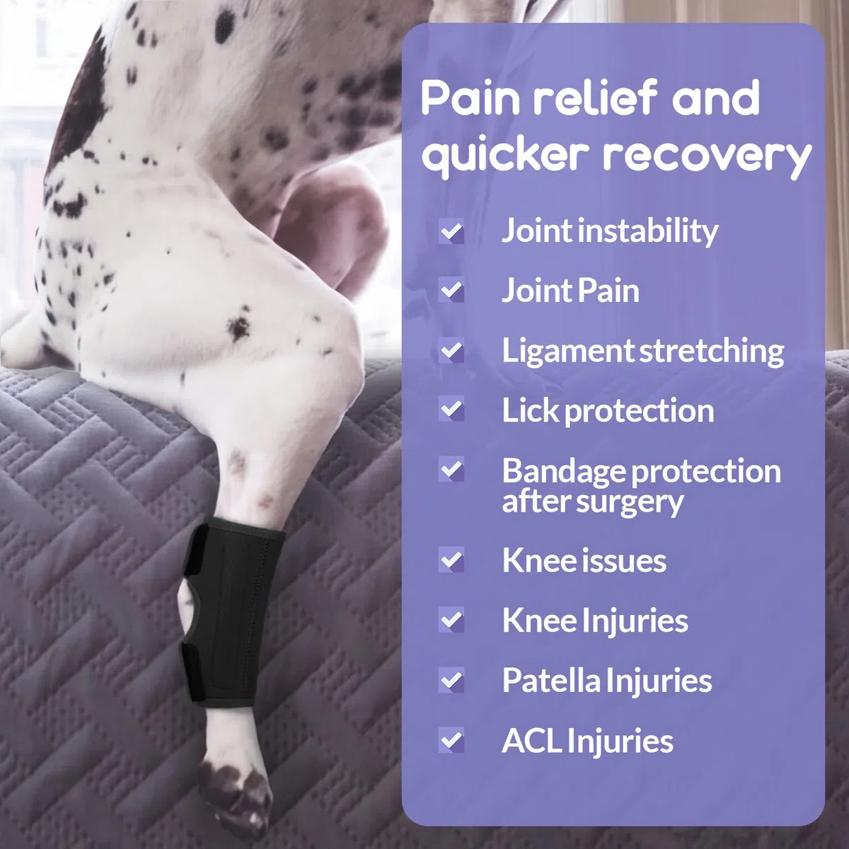 1 Pièce Protège-Poignets de Jambe Chien, Genou Genouillère Soutien Chien Arrière Patte Avant Jarret Articulé Protège pour La Protection Contre Les Blessures Et L'entorse(Noir, L)