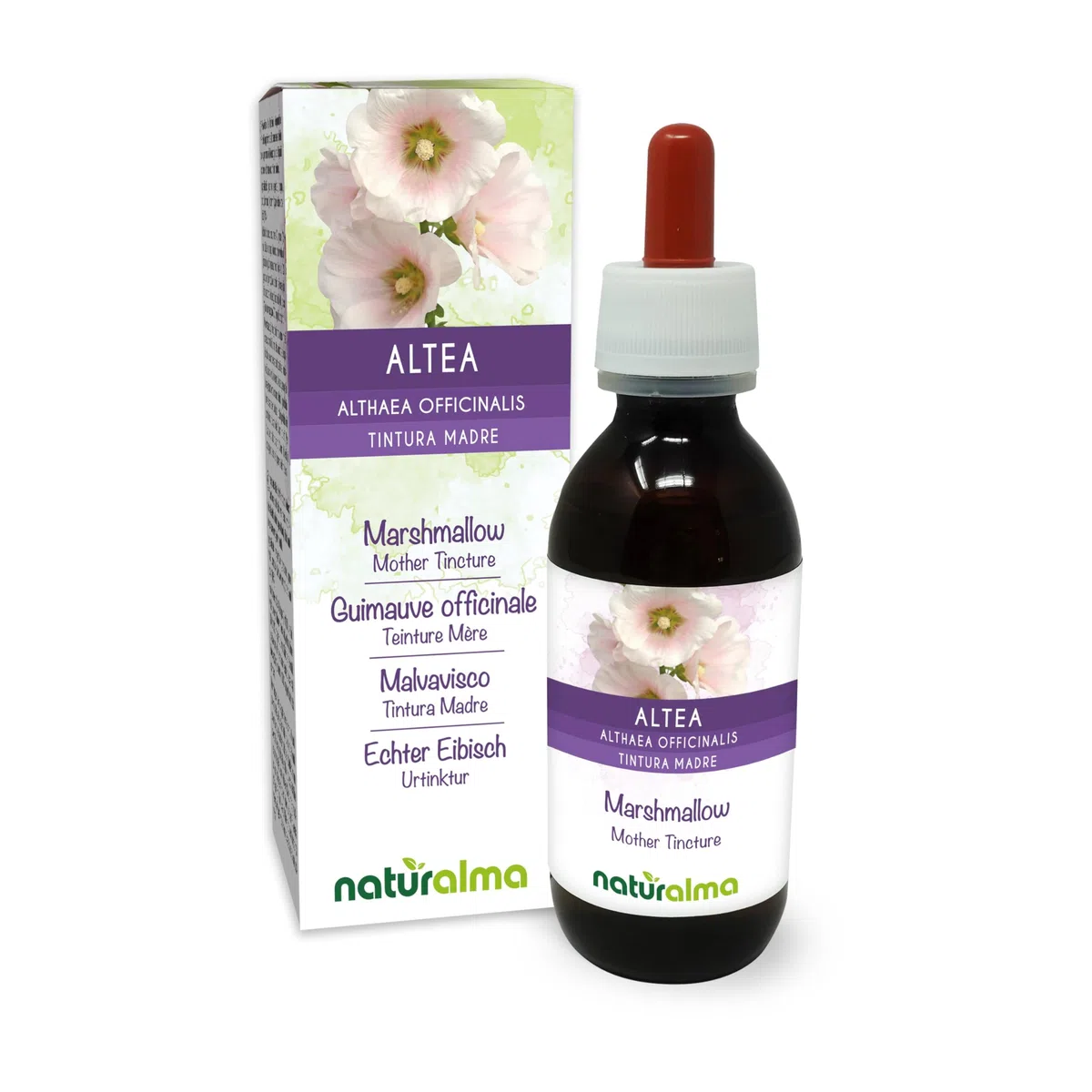 Guimauve officinale (Althaea officinalis) racines Teinture Mère sans alcool Naturalma - Extrait liquide gouttes 120 ml - Complément alimentaire - Végétalien ou végan