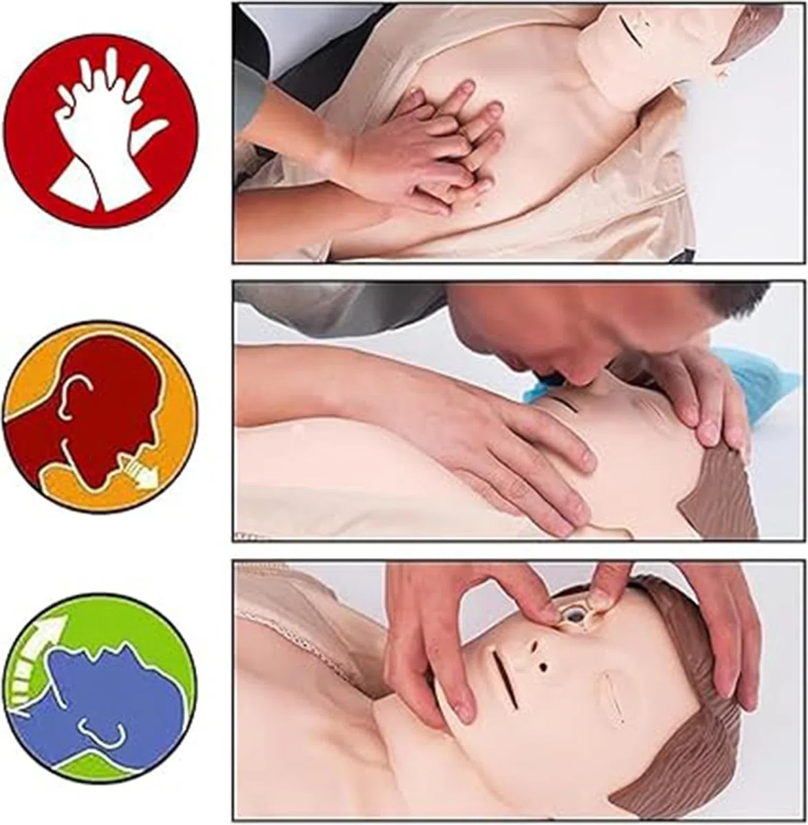 Mannequin d'entraînement CPR - Simulateur médical complet pour l'éducation infirmière - Idéal pour les enseignants et les étudiants - Kit d'entraînement essentiel pour les compétences de sauvetage