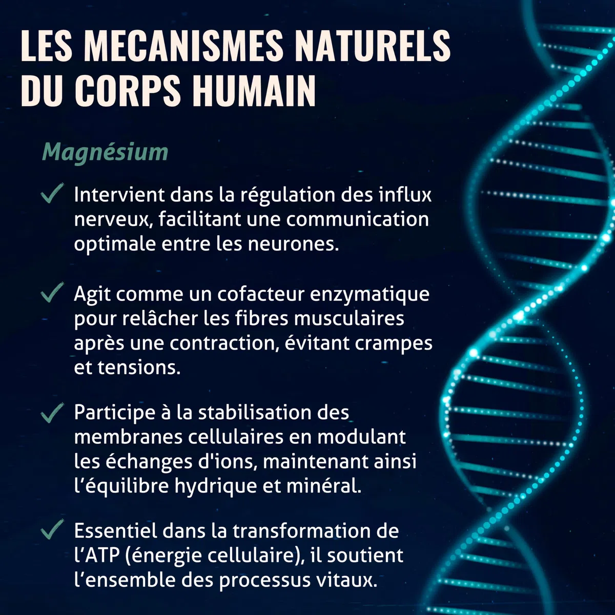 BLANCHE BRESSON - Magnésium Marin 300 mg renforcé en Vitamine B6 - Contre la Fatigue et le Stress, Relaxation, Energie, Détente - Origine Marine - 90 Gélules - Cure de 90 jours - Fabriqué en France