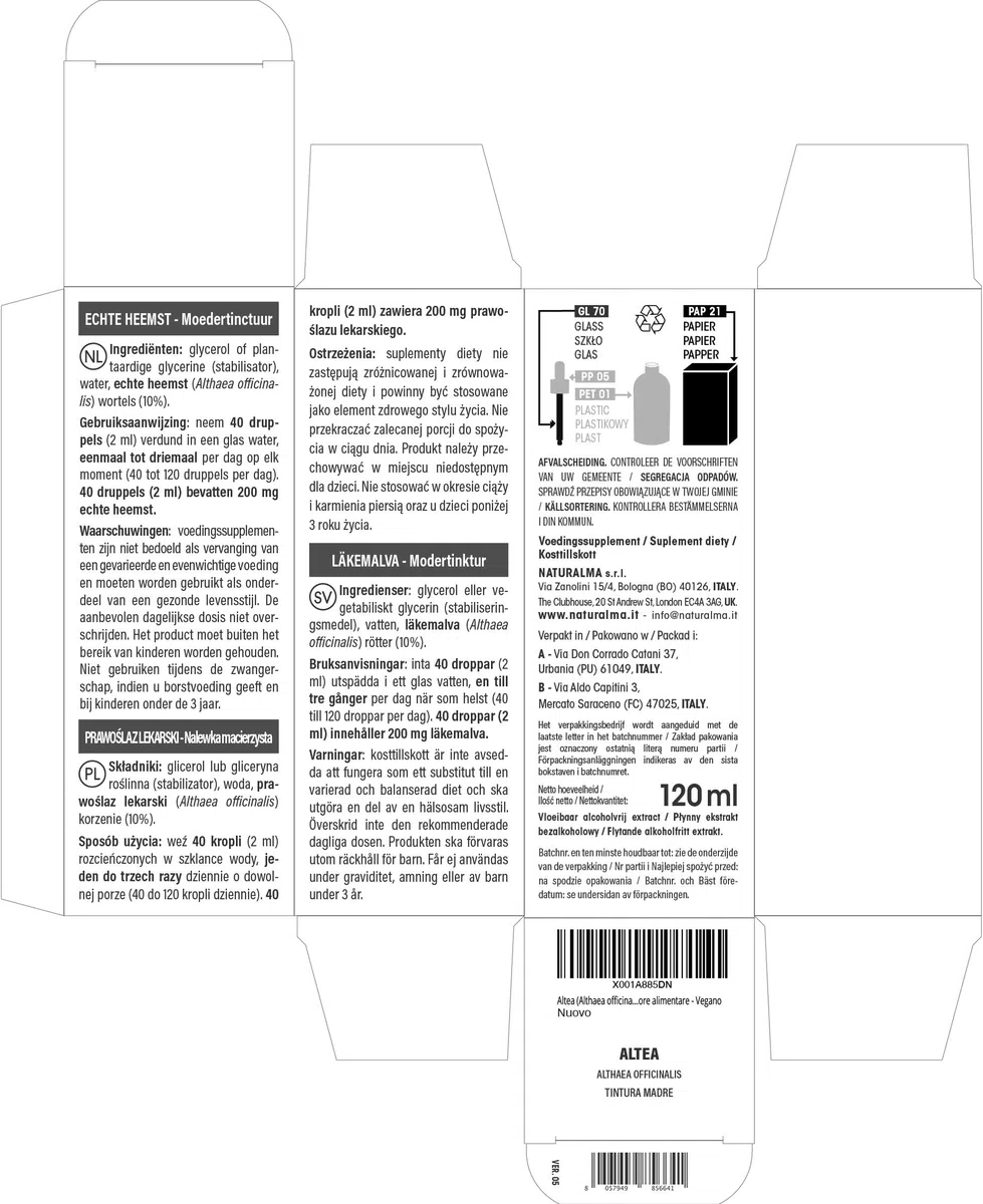 Guimauve officinale (Althaea officinalis) racines Teinture Mère sans alcool Naturalma - Extrait liquide gouttes 120 ml - Complément alimentaire - Végétalien ou végan