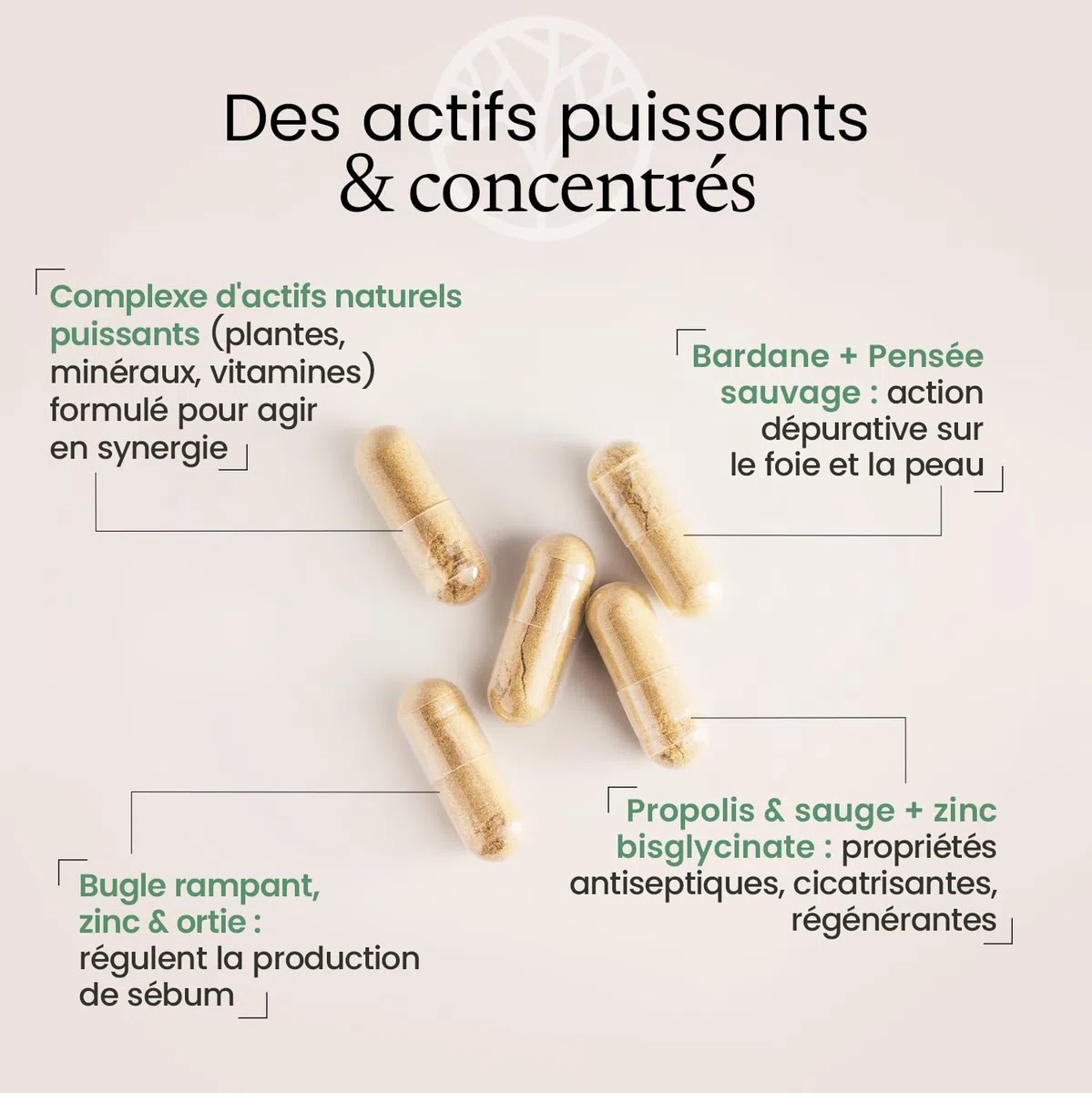 PEAU NETTE | Action Détox Anti Acné & Points Noirs | Zinc Bisglycinate 15mg + Bardane + Biotine + Propolis | Régule la Production de Sébum | Anti-imperfections | 60 Gélules Made in France | Terravita