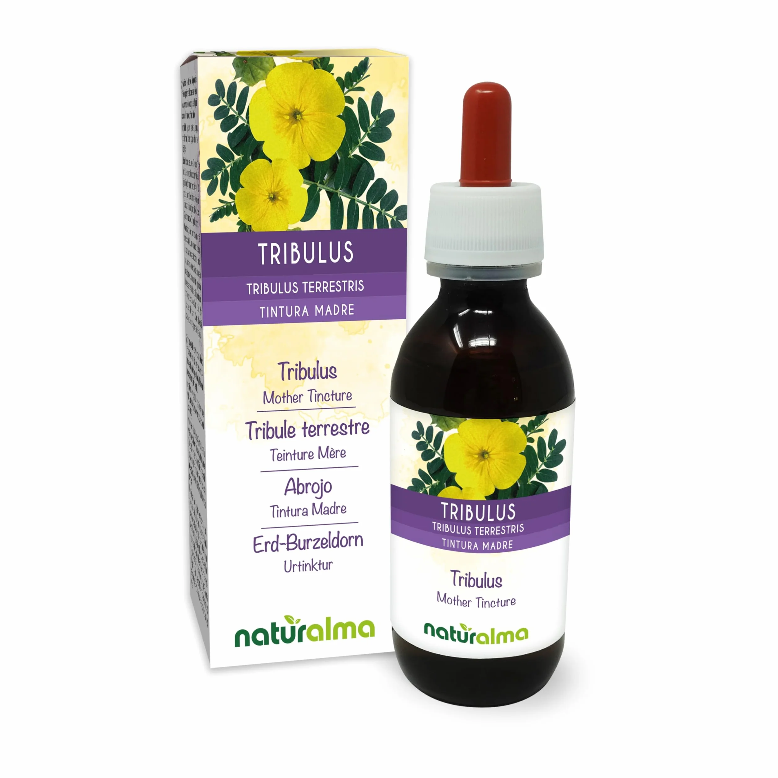 Tribule terrestre (Tribulus terrestris) fruits Teinture Mère sans alcool Naturalma - Extrait liquide gouttes 120 ml - Complément alimentaire - Végétalien ou végan