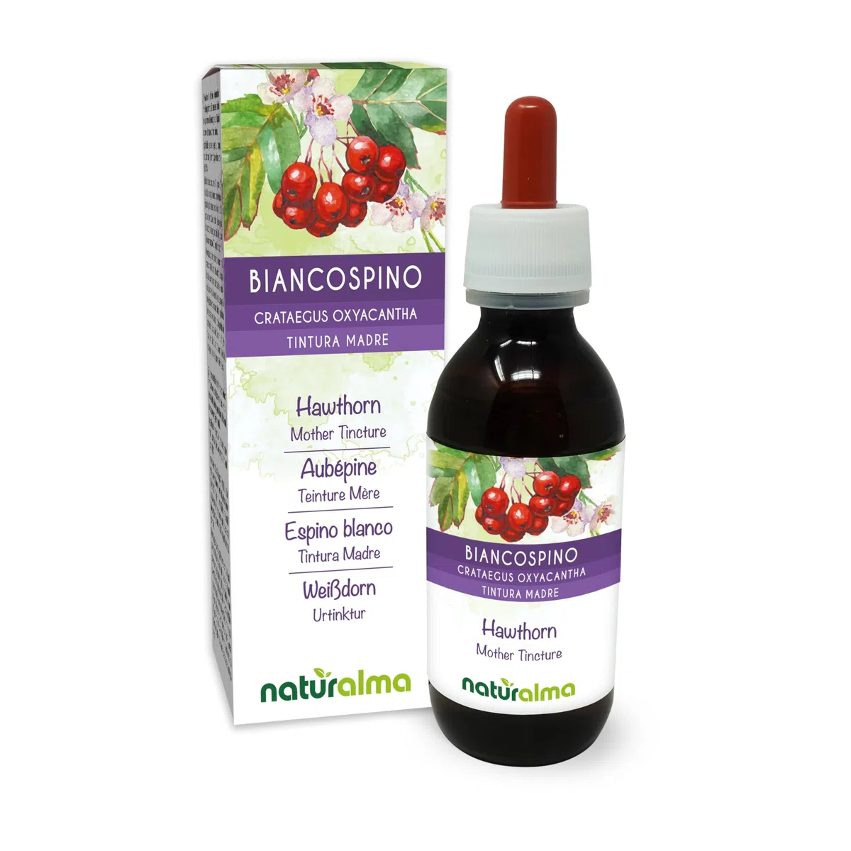 Aubépine (Crataegus oxyacantha) feuilles et fleurs Teinture Mère sans alcool Naturalma - Extrait liquide gouttes 120 ml - Complément alimentaire - Végétalien ou végan
