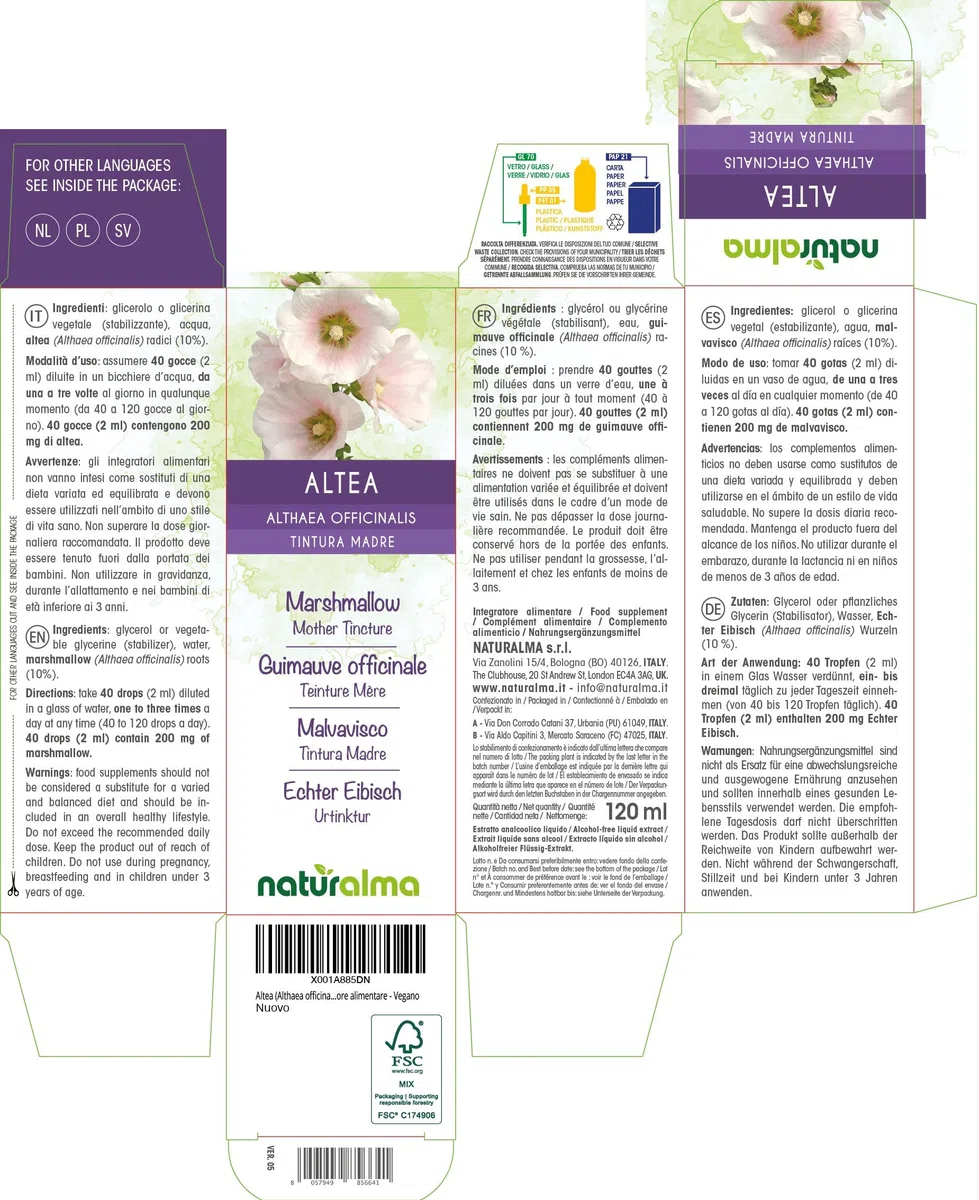 Guimauve officinale (Althaea officinalis) racines Teinture Mère sans alcool Naturalma - Extrait liquide gouttes 120 ml - Complément alimentaire - Végétalien ou végan