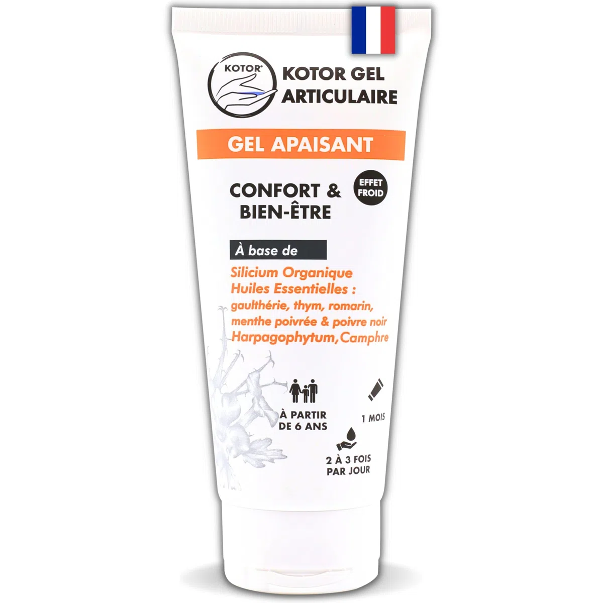 KOTOR GEL ARTICULAIRE | Soulage les Inconforts Articulaires & Musculaires | Silicium + Harpagophytum + Camphre + Gaulthérie + Thym + Romarin + Poivre Noir + Menthe Poivrée | 100ML | France