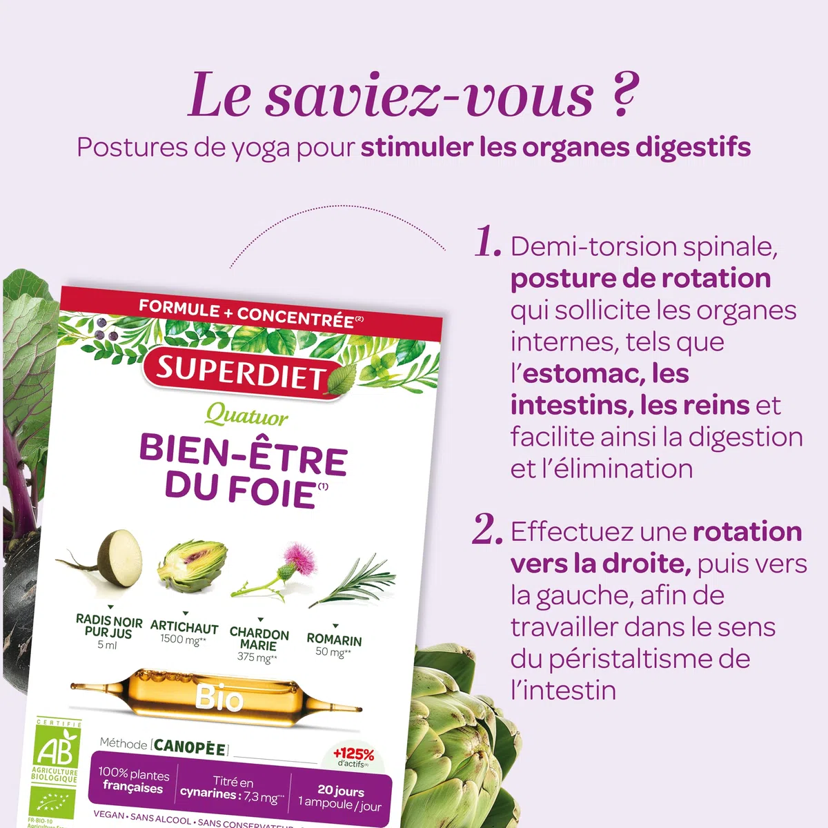 SUPERDIET – QUATUOR BIEN-ÊTRE DU FOIE BIO – Radis Noir Artichaut Chardon Marie Romarin – Fabrication française – 20 ampoules de 10 ml