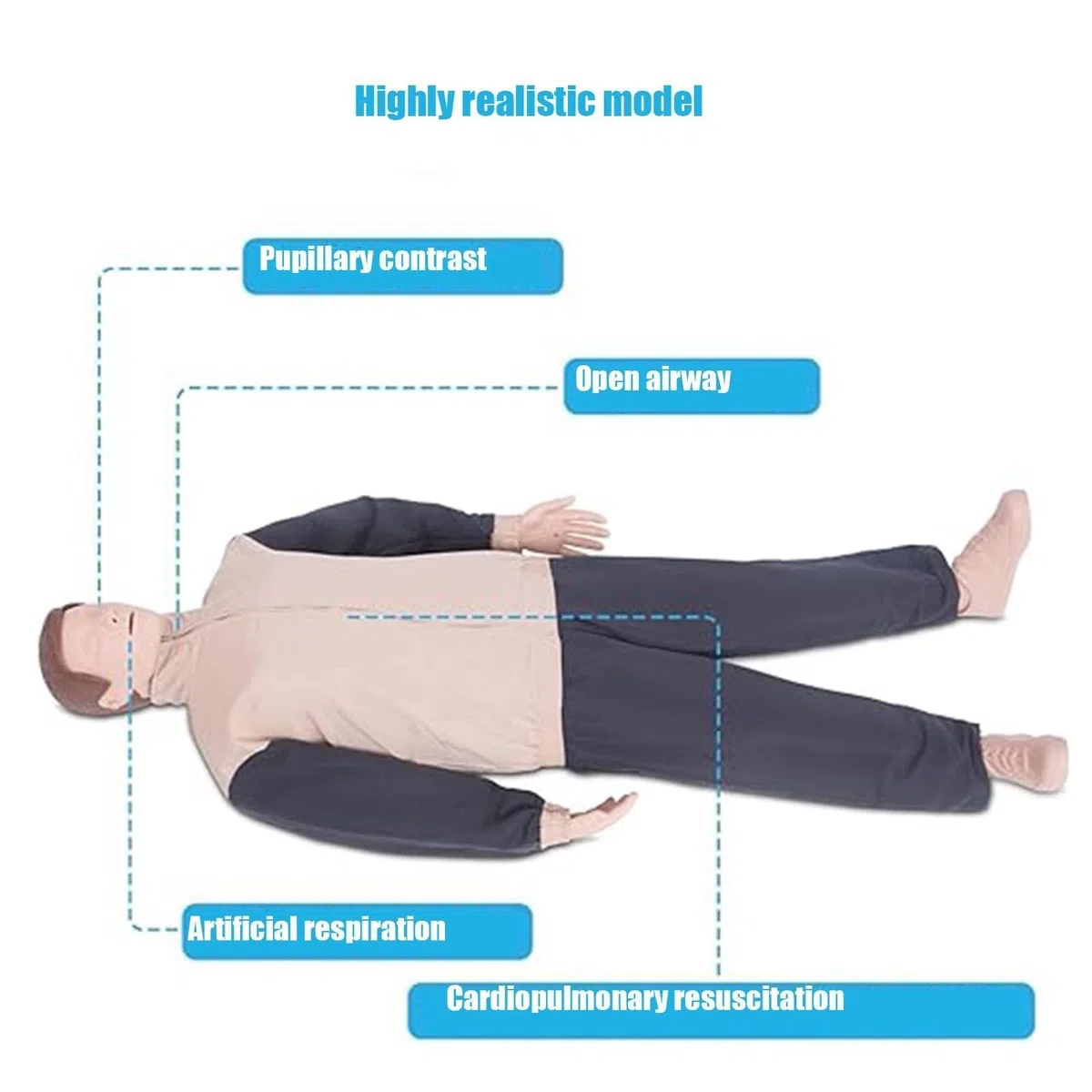 Mannequin de réanimation cardio-pulmonaire (RCP), modèle de formation pour adultes, mannequin de pratique de premiers secours pour la respiration artificielle et les compressions. A