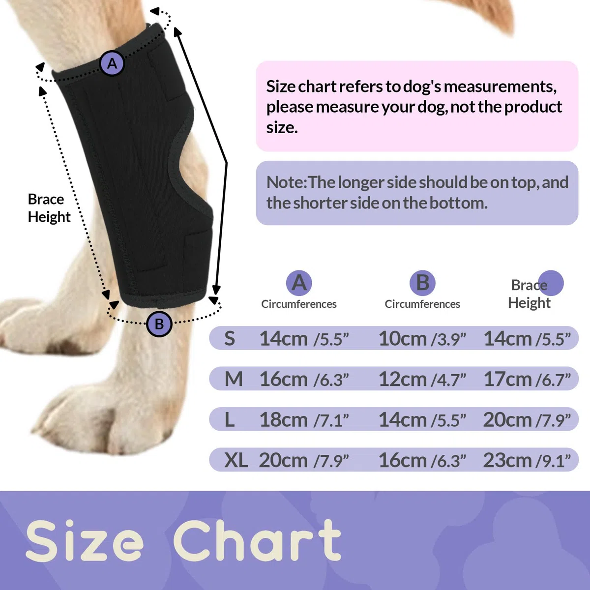 1 Pièce Protège-Poignets de Jambe Chien, Genou Genouillère Soutien Chien Arrière Patte Avant Jarret Articulé Protège pour La Protection Contre Les Blessures Et L'entorse(Noir, L)