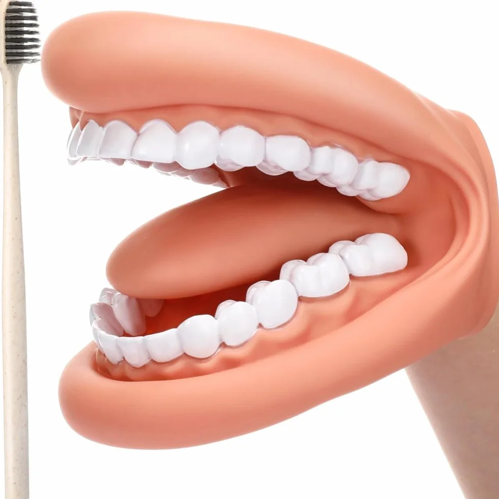 1 Pièces Bouche Marionnette avec Langue Dents Bouche Marionnette à Main Dentaire Bouche Modèle avec Brosse à Dents pour Garçon Fille Outil Éducatif