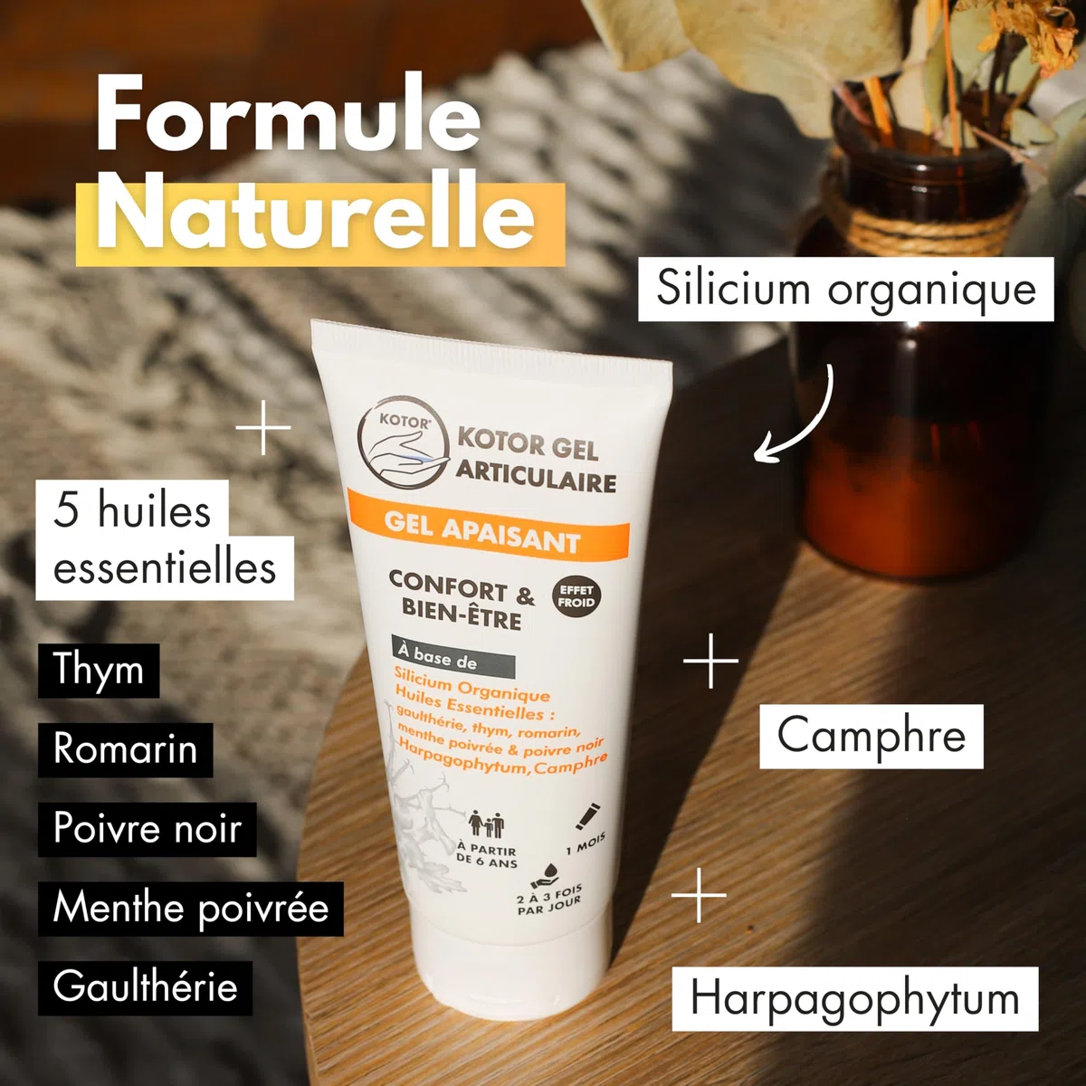 KOTOR GEL ARTICULAIRE | Soulage les Inconforts Articulaires & Musculaires | Silicium + Harpagophytum + Camphre + Gaulthérie + Thym + Romarin + Poivre Noir + Menthe Poivrée | 100ML | France
