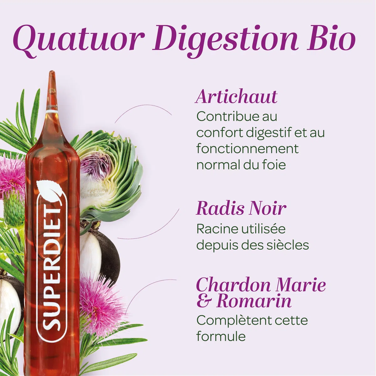 SUPERDIET – QUATUOR BIEN-ÊTRE DU FOIE BIO – Radis Noir Artichaut Chardon Marie Romarin – Fabrication française – 20 ampoules de 10 ml