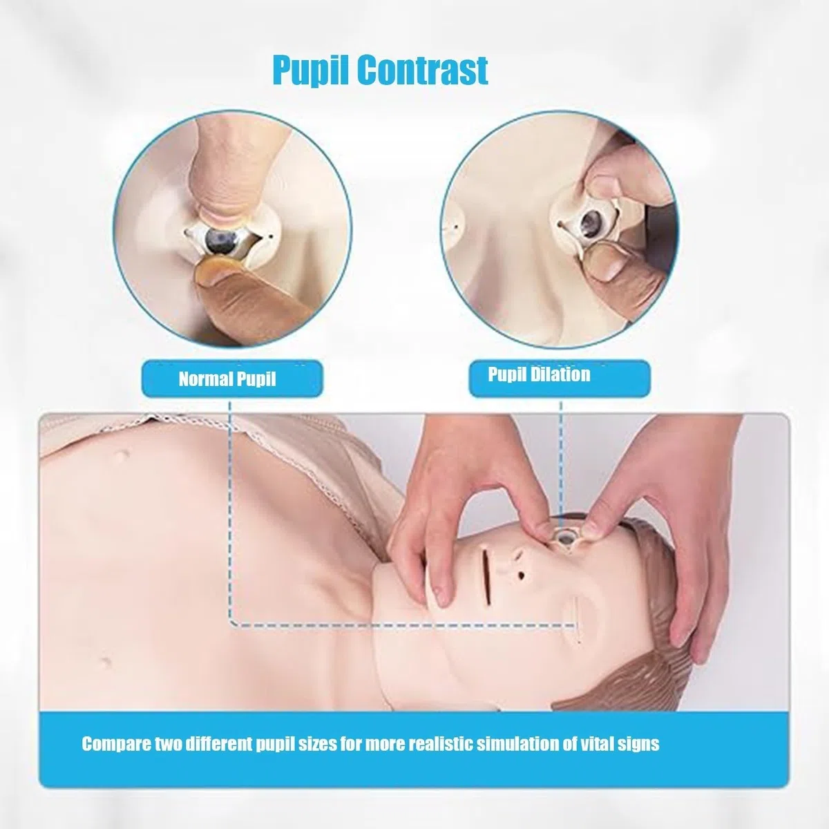 Mannequin de réanimation cardio-pulmonaire (RCP), modèle de formation pour adultes, mannequin de pratique de premiers secours pour la respiration artificielle et les compressions. A