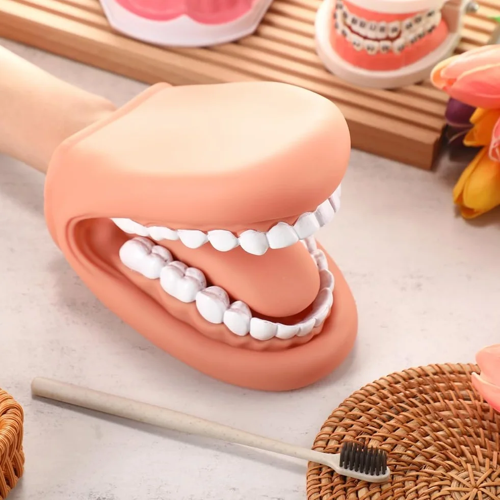 1 Pièces Bouche Marionnette avec Langue Dents Bouche Marionnette à Main Dentaire Bouche Modèle avec Brosse à Dents pour Garçon Fille Outil Éducatif