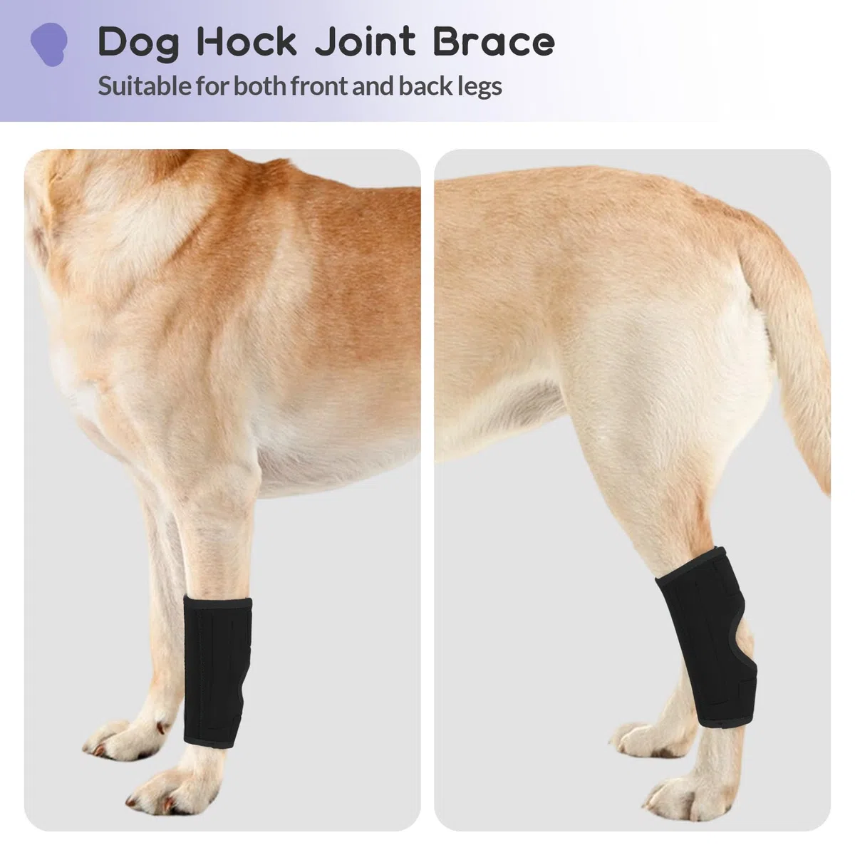 1 Pièce Protège-Poignets de Jambe Chien, Genou Genouillère Soutien Chien Arrière Patte Avant Jarret Articulé Protège pour La Protection Contre Les Blessures Et L'entorse(Noir, L)