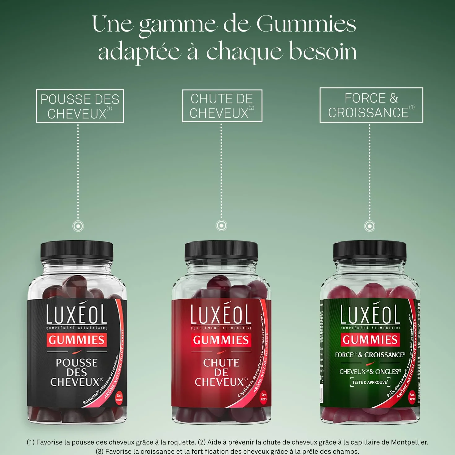 LUXÉOL - Gummies Chute Cheveux - Complément Alimentaire - Aide À Prévenir La Chute - Arômes de cassis - Sans Sucres - Fabriqué En France - Programme 1 Mois - 60 Gummies