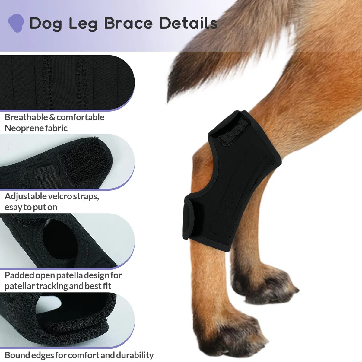 1 Pièce Protège-Poignets de Jambe Chien, Genou Genouillère Soutien Chien Arrière Patte Avant Jarret Articulé Protège pour La Protection Contre Les Blessures Et L'entorse(Noir, L)