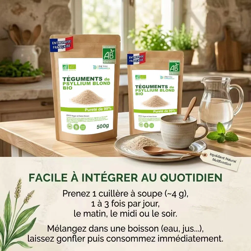 DETOX ORGANICA - Psyllium Blond Bio Téguments 500g - Psyllium 99% Pur | Riche en Fibres - Transit Intestinal & Digestion - 100% Naturel et Vegan, Qualité Premium