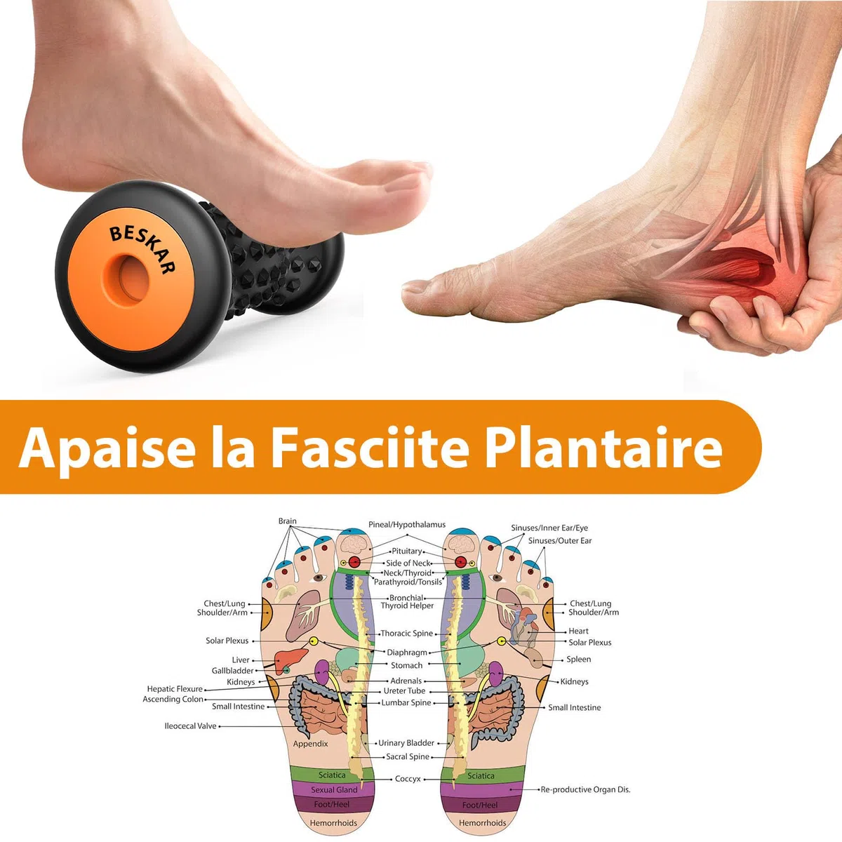 Rouleau de Massage des Pieds pour Fasciite Plantaire, Soulagement des Pieds Douleurs Et Relaxation Par Acupression, Réflexologie des pieds