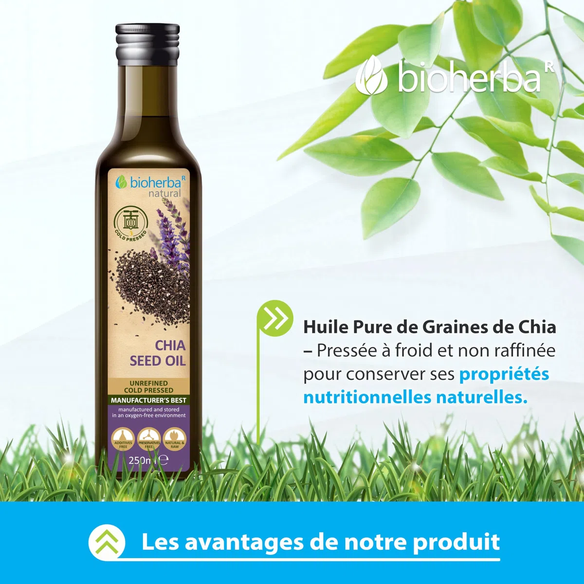 Huile de Graines de Chia – 250 ml | Pressée à Froid & Non Raffinée – Source Naturelle d’Oméga-3 – par BIOHERBA (250)